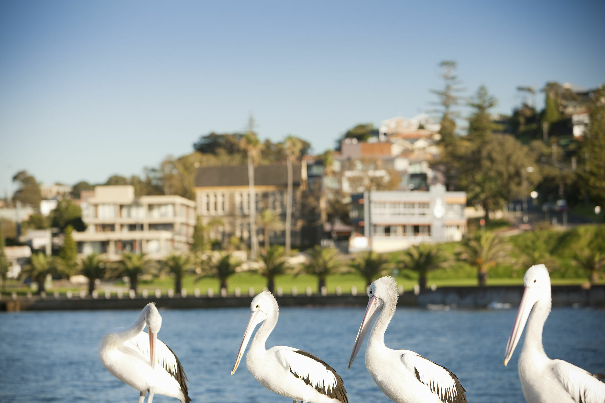 The Sebel Kiama Hotel Exterior photo